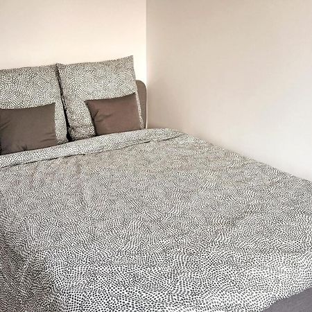 Nancy Centre Gare Appartement Renove 3 Chambres المظهر الخارجي الصورة
